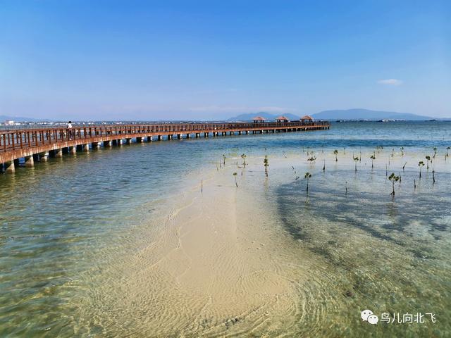 行走海南（5）在海南，看到了什麽 之 蔚藍海洋的賜予