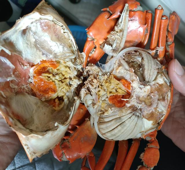 怀孕可以吃螃蟹吗？