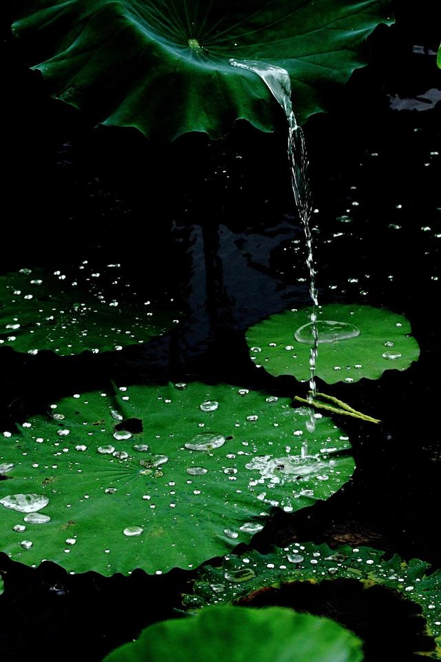 五月的小雨