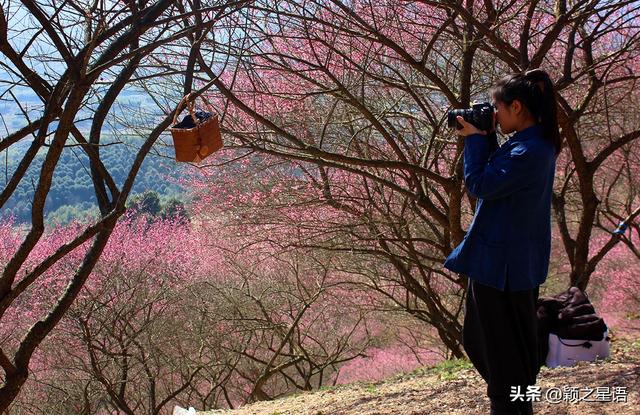 阳明温泉山庄