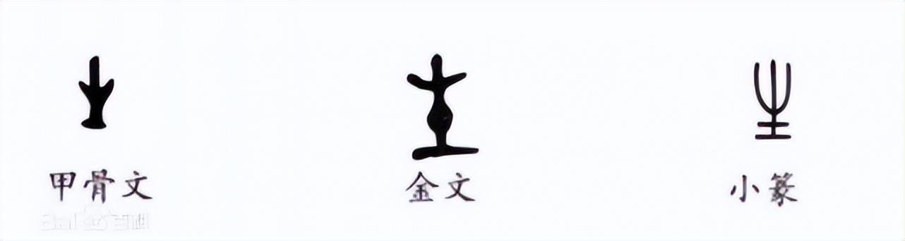 杨字五行属什么（梓字五行属什么属性）插图