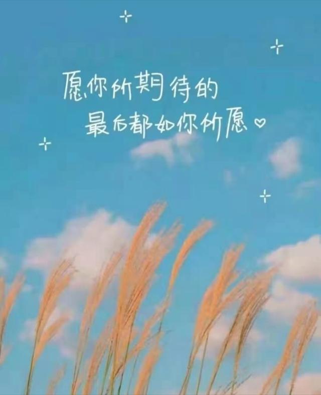 一切美好都会如期而至.