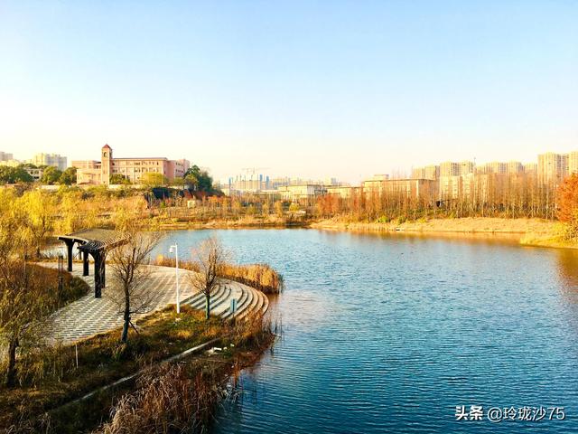 長沙唯一擁有戶外足球場的公園，更有大片水杉美景等你來