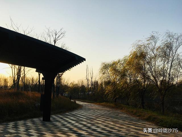 長沙唯一擁有戶外足球場的公園，更有大片水杉美景等你來