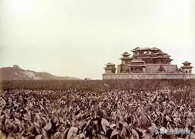 畫說北京丨頤和園裏的山河歲月