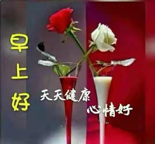 世人要牢记“健康人的生理特征”（精彩回放）