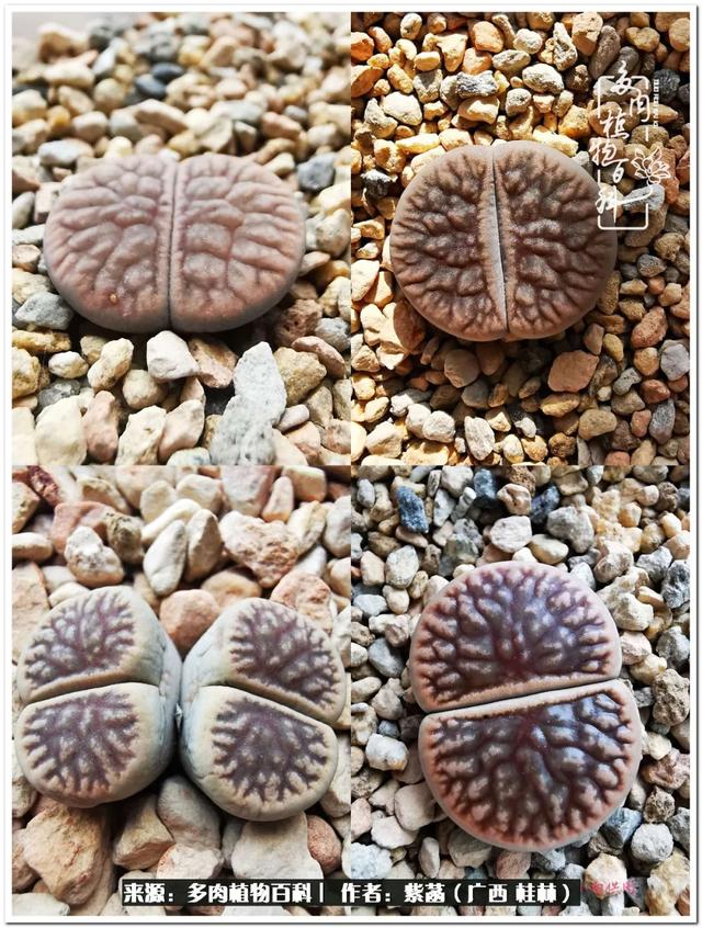 桂林滚筒式洗砂机厂家