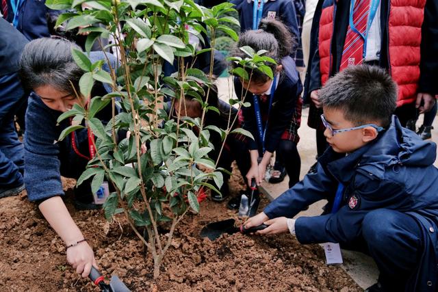 问题孩子教育学校怎么管理(怎么管理好孩子的教育问题)(图21)