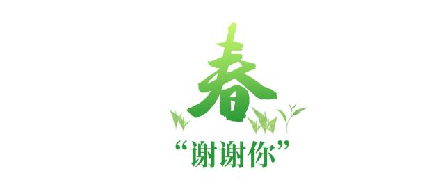 学习故事会丨深情满四季，关怀暖人心