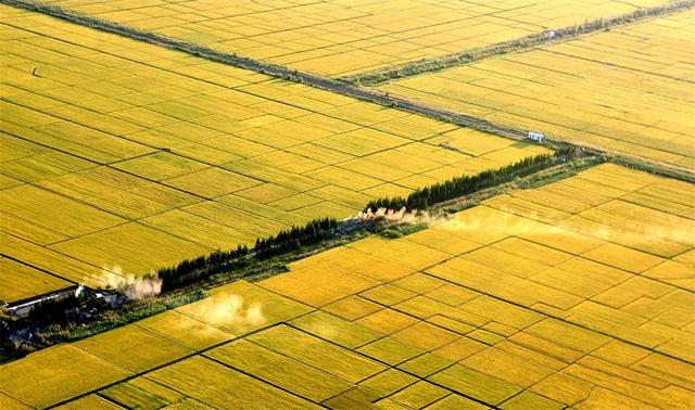 黑龙江“秒删”救市表态，南北经济真相有变化吗？