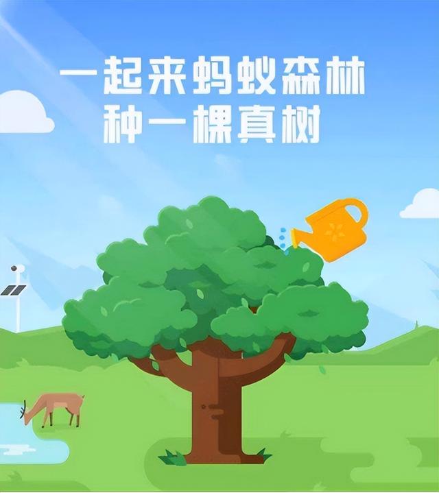 蚂蚁森林五年了，马云许诺每年种一亿棵树，这些树怎样了？