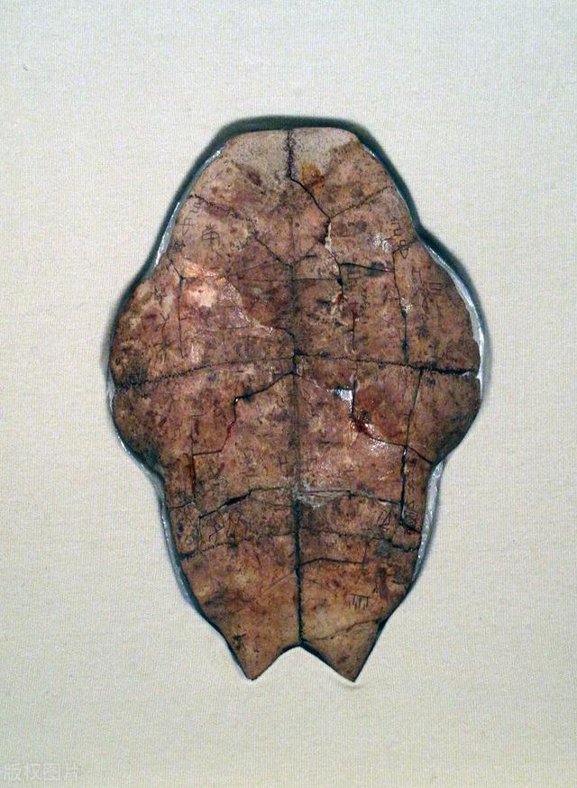 抗衰老的中药（四十四）