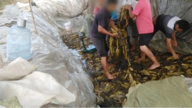 赢了竞争对手，却输给了供应商！老坛酸菜咋变成了老坑酸菜？