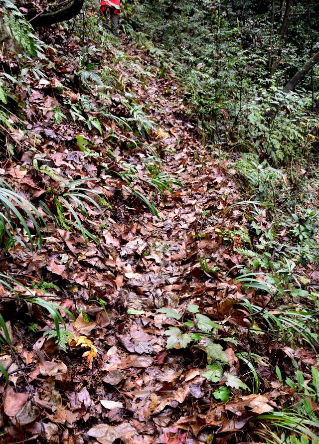 貴州金沙，踏紅軍足迹，觀古道山水，進溶洞探險