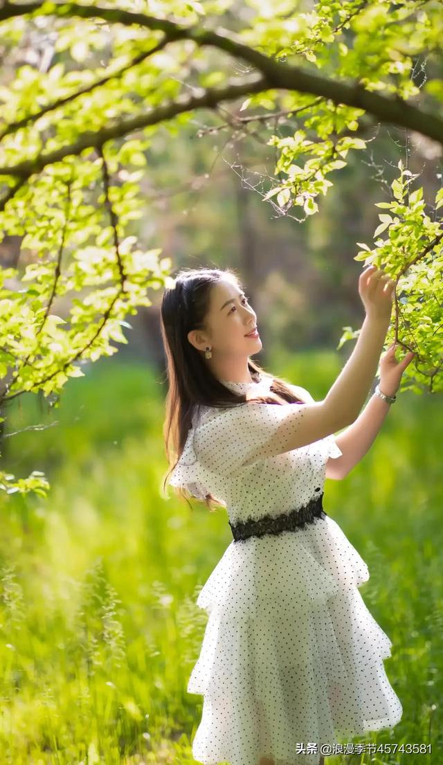 夏天的一切美好如约而至，如此甚好，我很喜欢！「散文」