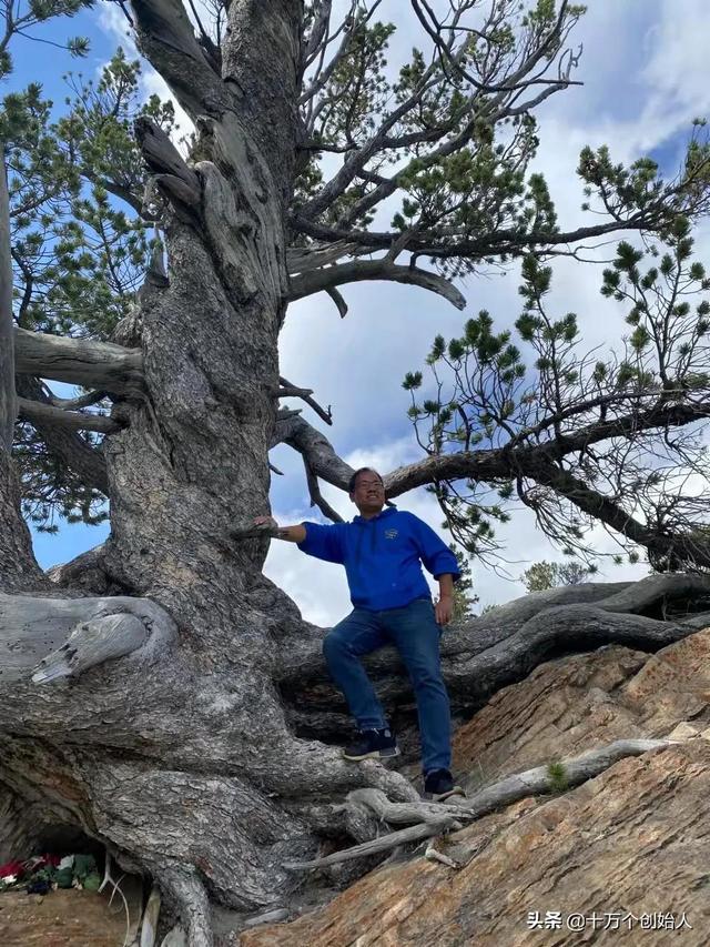 每天認識一個創始人周顯峰：無限風光在險峰