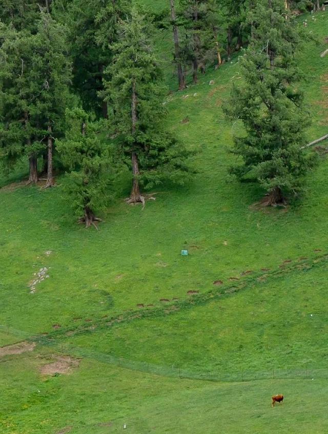 [苹果快乐星球语音群发]，微信怎么上传动态图到朋友圈