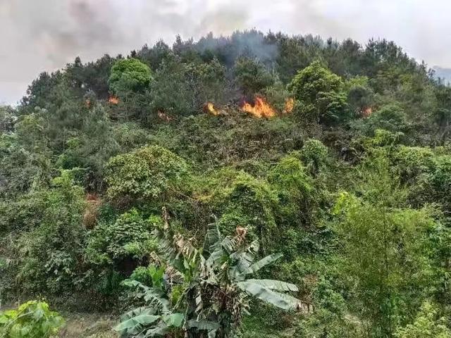 最新！坠机事故救援遇降雨，现场有燃油味