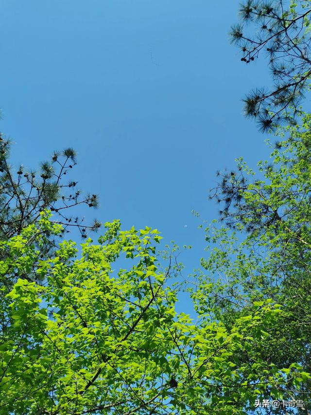 随手一拍就是风景