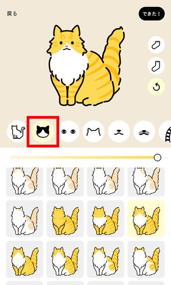 猫人网站，猫人网是个什么网站