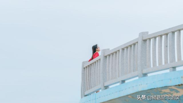人生何求？一茶、一书、一知己
