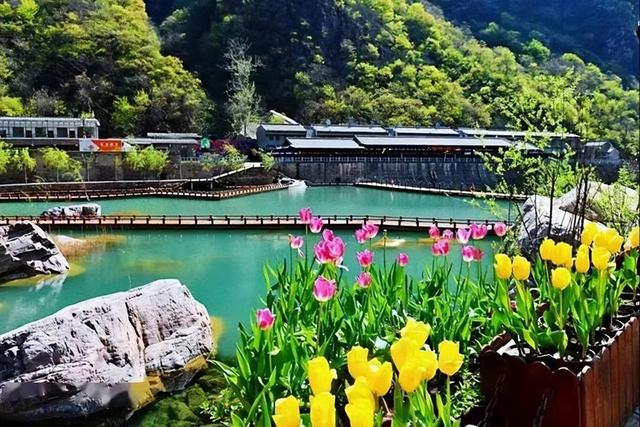 河南省内周末如果可以自由行，我还是想去这三个地方赏花看水观山