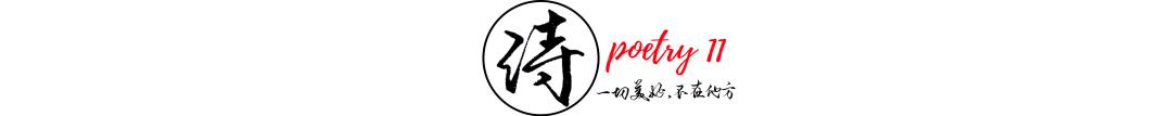 梦到白马是什么意思