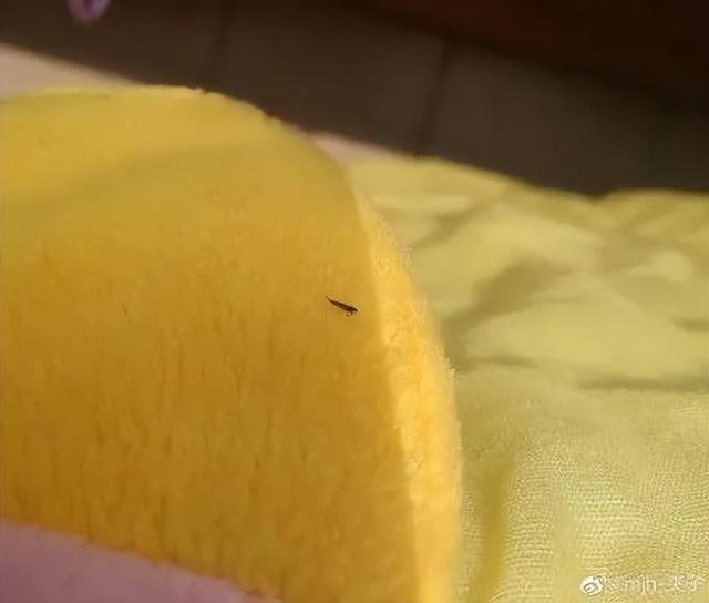 提醒！最近少穿黄色、绿色衣服出门