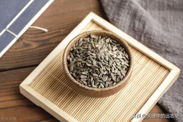 夏之将至，送你一味白花蛇舌草，解热毒、消疮痈、利小便