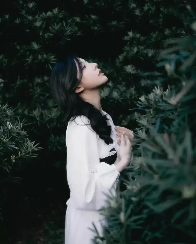 学会放下，种慢慢盛开的花，这才是真正的大赢家