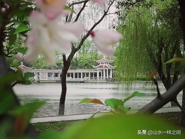 谁不喜欢春天的美好，谁不愉悦春天的微笑