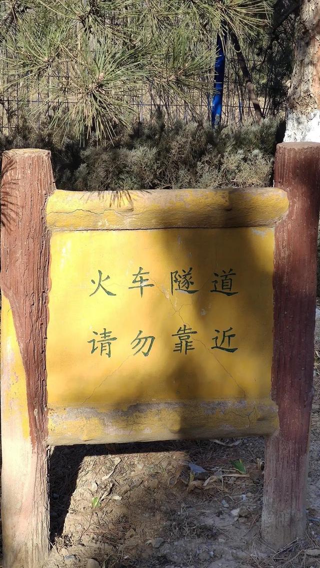 歲末年尾，到北京園博園逛一逛