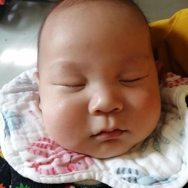 送走，送走，送河南去，呆喂傻吃的，早晚喂成傻子