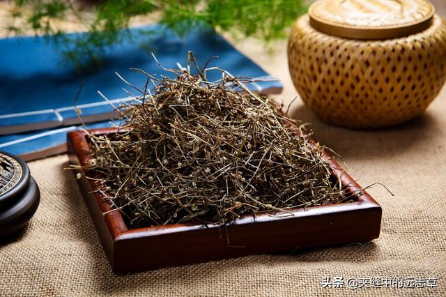 夏之将至，送你一味白花蛇舌草，解热毒、消疮痈、利小便