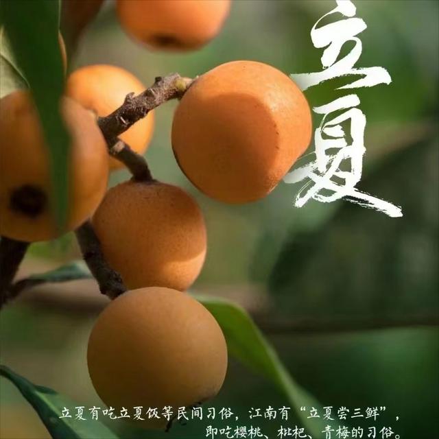 文案丨关于立夏的优美句子摘抄丨优质文案