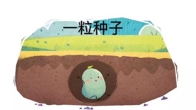一颗种子的传说