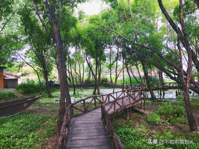 一張圖片，一段故事，記錄那些我獨自走過的城市。（一）