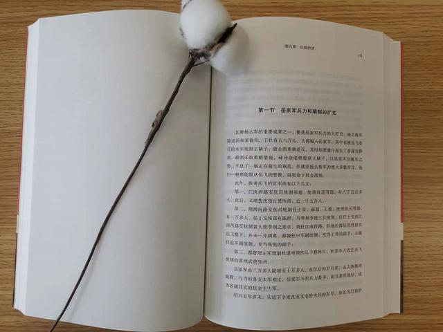 “尽忠报国”的岳飞，今天依然还有很多细节被忽略