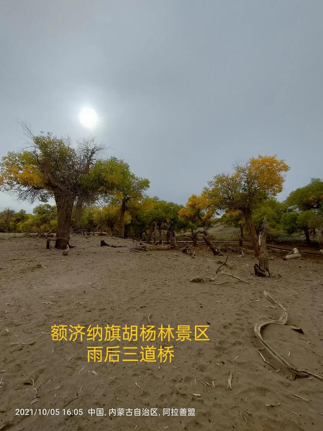 西行漫記之10月5日內蒙古篇