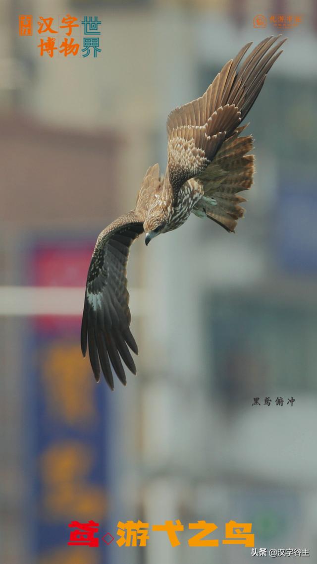 鹄的是什么意思