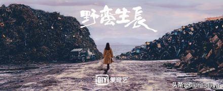 赵丽颖《野蛮生长》顺利杀青，作者更是大有来头，期待新剧播出
