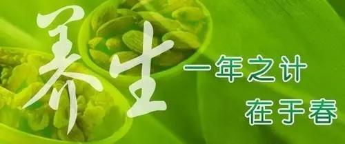 今天你的心情好吗——春日生活话养肝