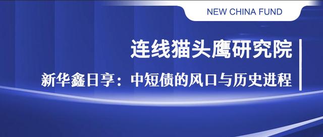 新华鑫日享短债a「鑫元中短债」