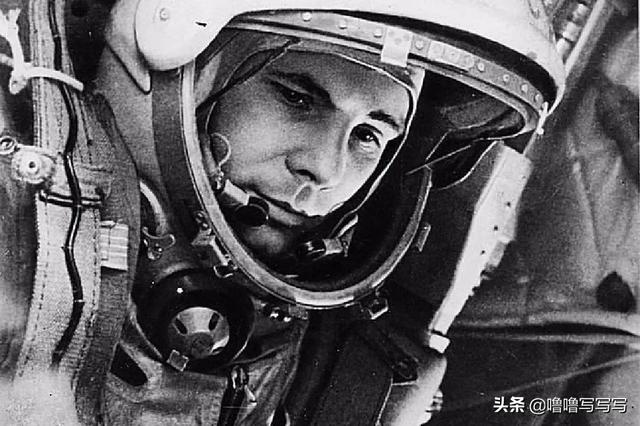 为人类太空事业做出贡献的动物们