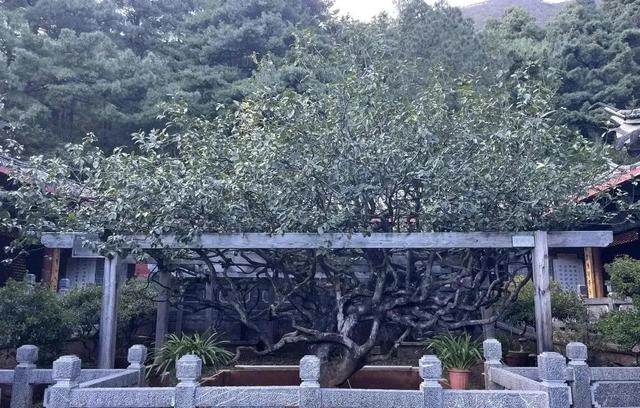 雲南深處，溫暖且柔和