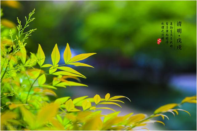 农村老人说今年清明不一般，因为清明节“三节”相连，分别是啥？