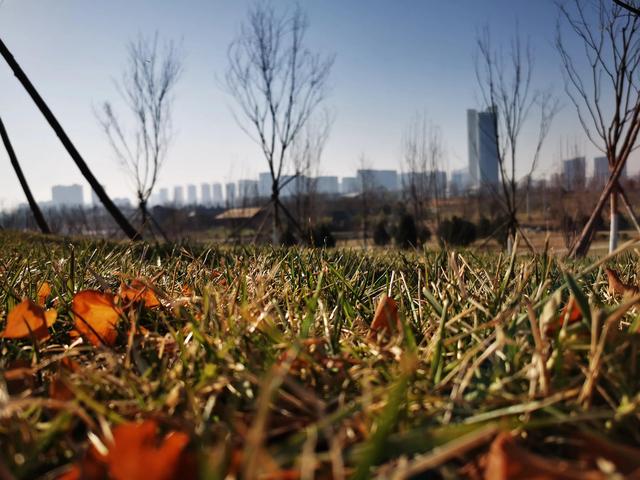 東郊新晉網紅公園，和灞河東路一起稱霸朋友圈