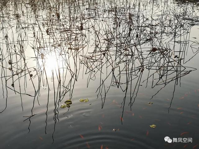 房山牛口峪濕地公園，沒想到風景如此優美