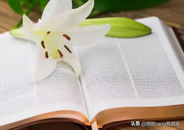 人生歪理，歪得合情合理