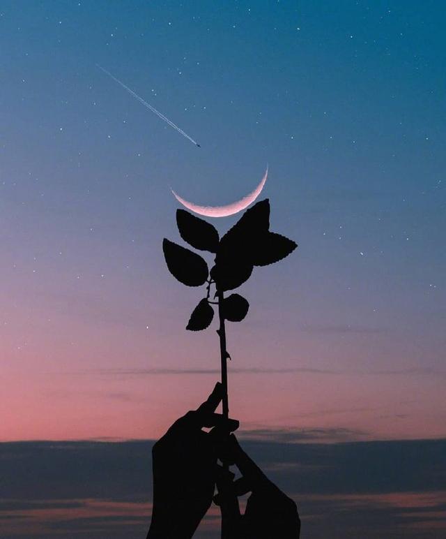 经典的精辟语录，启迪人心，话糙理不糙